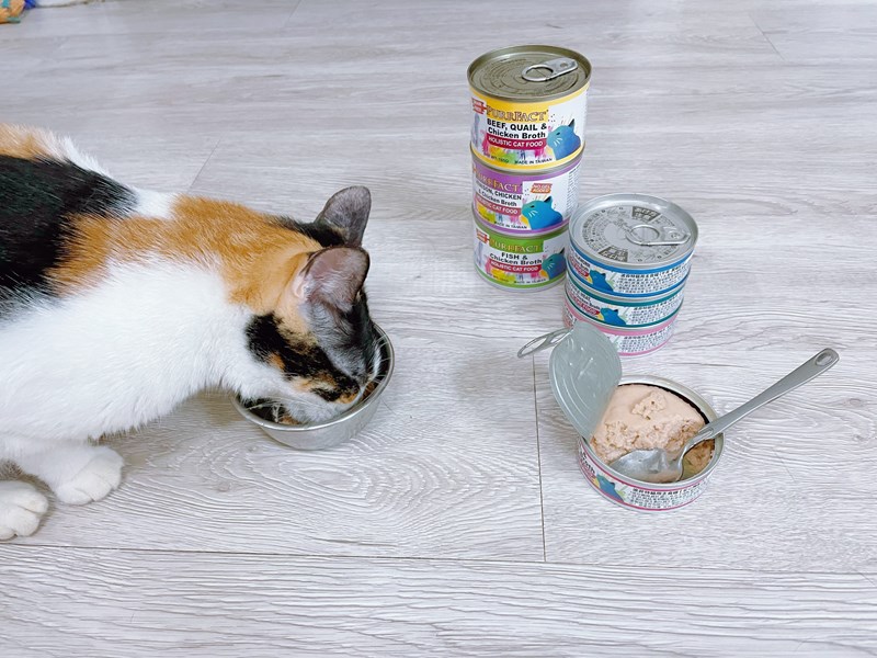 女人知己試用大隊,口碑行銷,部落客行銷,PURRFACT 波菲特貓用主食罐,主食罐,PURRFACT波菲特,貓主食罐,貓罐,PURRFACT波菲特貓用主食罐,魚肉蔓越莓主食罐,鮮嫩雞主食罐,鹿肉雞肉主食罐,牛肉鵪鶉貓主食罐,干貝蠶蛹配方,鱷魚肉白木耳配方,雞肉魚肉配方,安心鶉配方,評價,體驗,適口性佳,心得,成貓適用,高齡貓適用,質地是慕絲狀